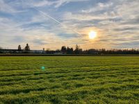 Kleinen Garten gesucht.Kleinen Garten pachten.Schrebergarten gesu München - Schwabing-Freimann Vorschau