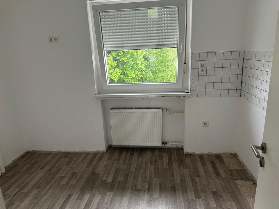 3 Zimmer Wohnung zu Vermieten in Horn-Bad Meinberg