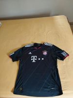 FC Bayern Trikot Saison 2010/2011 seltenes Exemplar Gr.XL Bayern - Fürstenfeldbruck Vorschau