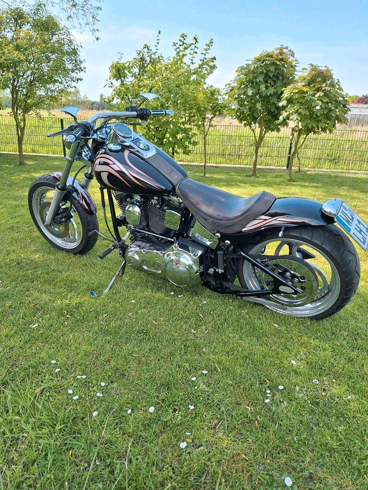 Harley Davidson FXST in Marschacht