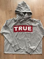 TRUE RELIGION Hoodie Kapuzenpullover grau Größe L Nordrhein-Westfalen - Mülheim (Ruhr) Vorschau