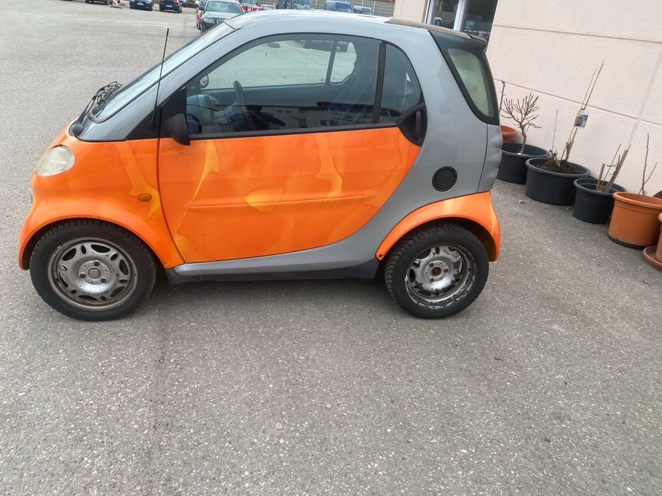 Smart Fortwo in Maisach