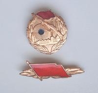 DDR NVA Kampfgruppen Abzeichen - Medaille - Ostalgie - Orden Sachsen-Anhalt - Halle Vorschau
