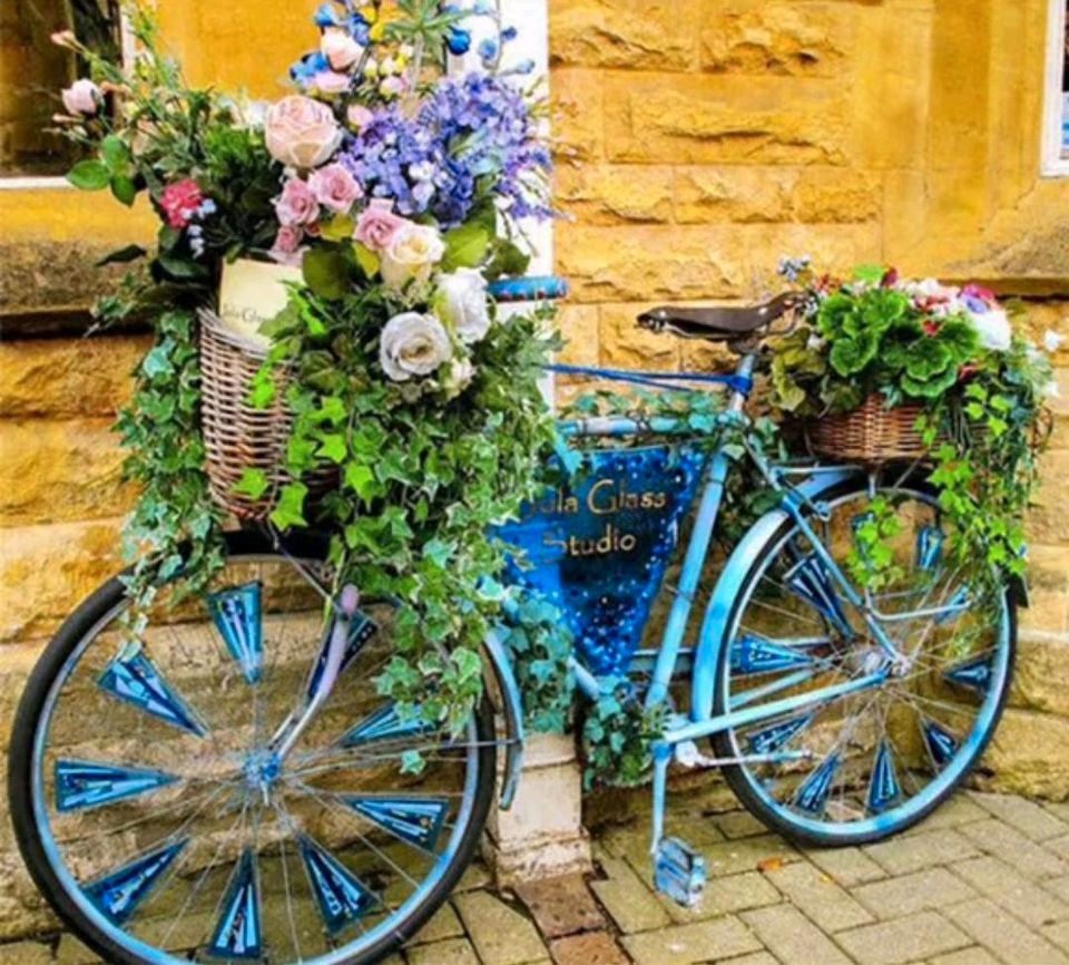 Als Gartendeko vorbereite ich ihre Fahrrad mit oder ohne Pflanzen in Versmold