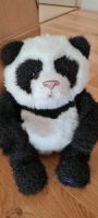 Fureal Panda Fur Real Geräusche Fläschchen top zustand Bremen - Borgfeld Vorschau