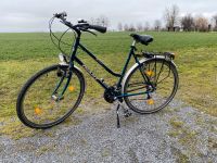 Giant Fahrrad 26 Zoll, voll funktionsfähig Niedersachsen - Schellerten Vorschau