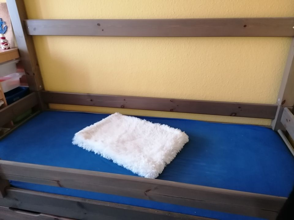 Hochwertiges Kinderbett / Jugendbett / Hochbett m. Rausfallschutz in Dresden