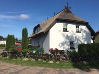 Langzeitmiete Langzeiturlaub Rügen Ostsee Baabe Reethaus Hund Mecklenburg-Vorpommern - Baabe Vorschau