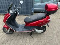 Peugeot Elyseo 125 Nordrhein-Westfalen - Herne Vorschau