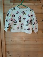 Beigefarbener Pulli Zara 80 Minnie Mouse Disney rosa Bielefeld - Sennestadt Vorschau