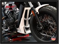 Indian Scout Kuhlerblende "Formula" alle Baujahre Baden-Württemberg - Hüffenhardt Vorschau