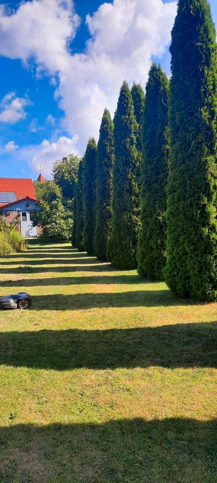 Ferienwohnung Ostsee Wismar Insel Poel Schwerin in Lübow