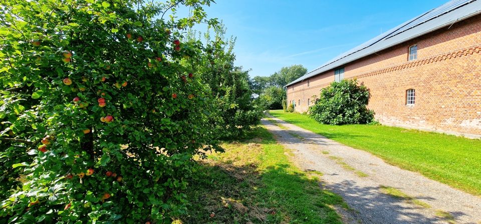 Gelegenheit: Charmanter Hof mit Naturkindergarten an der Nordsee und 1,5 ha Land in Volsemenhusen