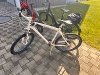 Bmw City Cruiser 26 zoll Bayern - Steinberg am See Vorschau