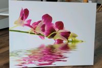 Orchidee Blumen Bild 2 Stück Leinwand 80x60cm Baden-Württemberg - Ditzingen Vorschau