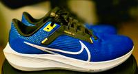 Nike Pegasus 40 Dresden - Dresden-Plauen Vorschau
