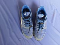 PUMA Sportschuhe blau-weiß Gr 41 Niedersachsen - Verden Vorschau