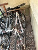 Bulls Fahrrad 28 Zoll Bayern - Weidenbach Vorschau