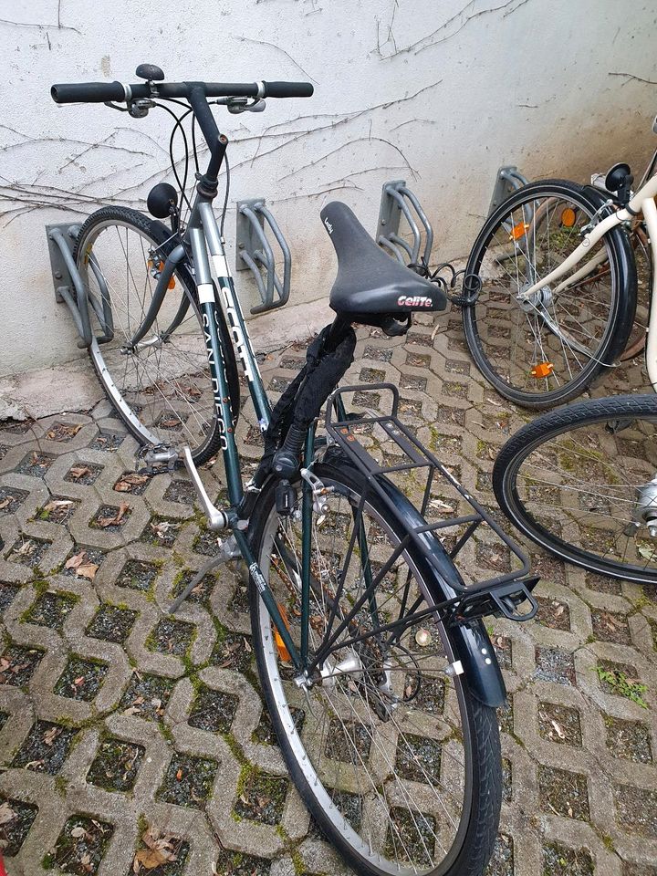 Damen-Fahrrad in Nürnberg (Mittelfr)