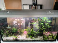 Aquarium 200 L Nordrhein-Westfalen - Vreden Vorschau