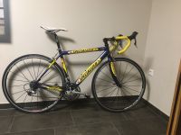 Specialized allez Team Festina Replika Rennrad Größe M Baden-Württemberg - Schwaigern Vorschau