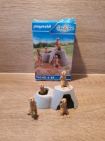 Playmobil 70349 Erdmännchen Niedersachsen - Neuenhaus Vorschau