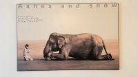 Gregory Colbert Bild „Ashes and Snow“ Holzdruck, BxH 90x58 cm Wandsbek - Hamburg Tonndorf Vorschau