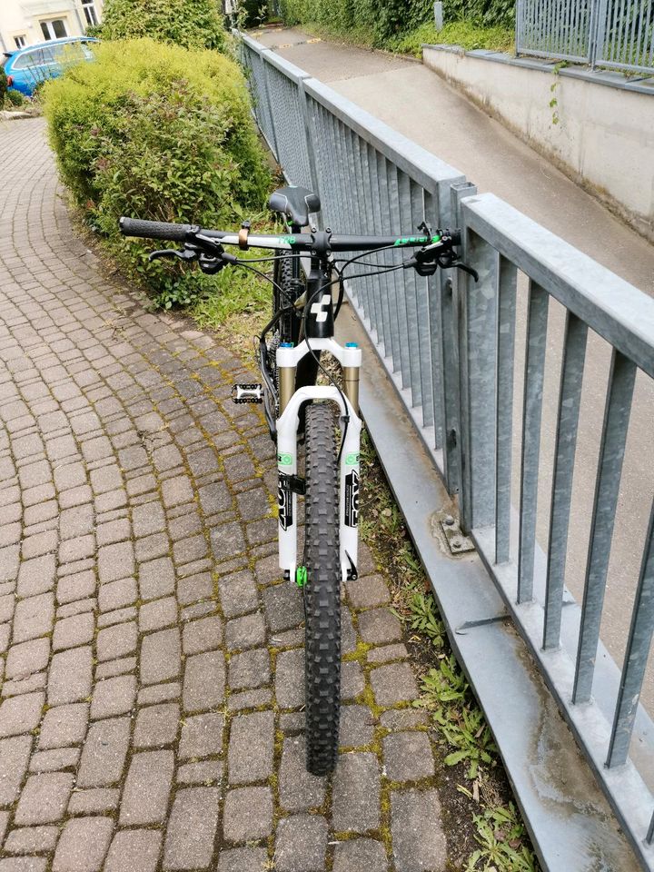 Mountainbike Cube in Dresden