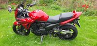 Suzuki GSF 1250 SA  Bandit 14 Tkm 1 Vorbesitzer Schleswig-Holstein - Lübeck Vorschau