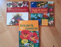 Kräuter & Gewürze, Töpfe & Kübel, Blumenampeln Bayern - Adelschlag Vorschau