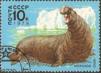 Sowjetunion 4746° Tiere der Antarktis Südlicher See-Elefant Robbe Nordrhein-Westfalen - Kamen Vorschau