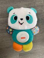 Fisherprice Blinki Linki Motorikspielzeug Panda neu Saarland - St. Wendel Vorschau