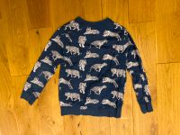 Zara Boys Or Girls 140 Tiger Pullover blau Sachsen - Moritzburg Vorschau