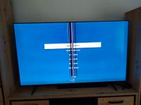 Samsung Fernseher 65 Zoll Niedersachsen - Neu Wulmstorf Vorschau