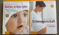 Buch über Schwangerschaft und Babys erstes Jahr Thüringen - Unterwellenborn Vorschau