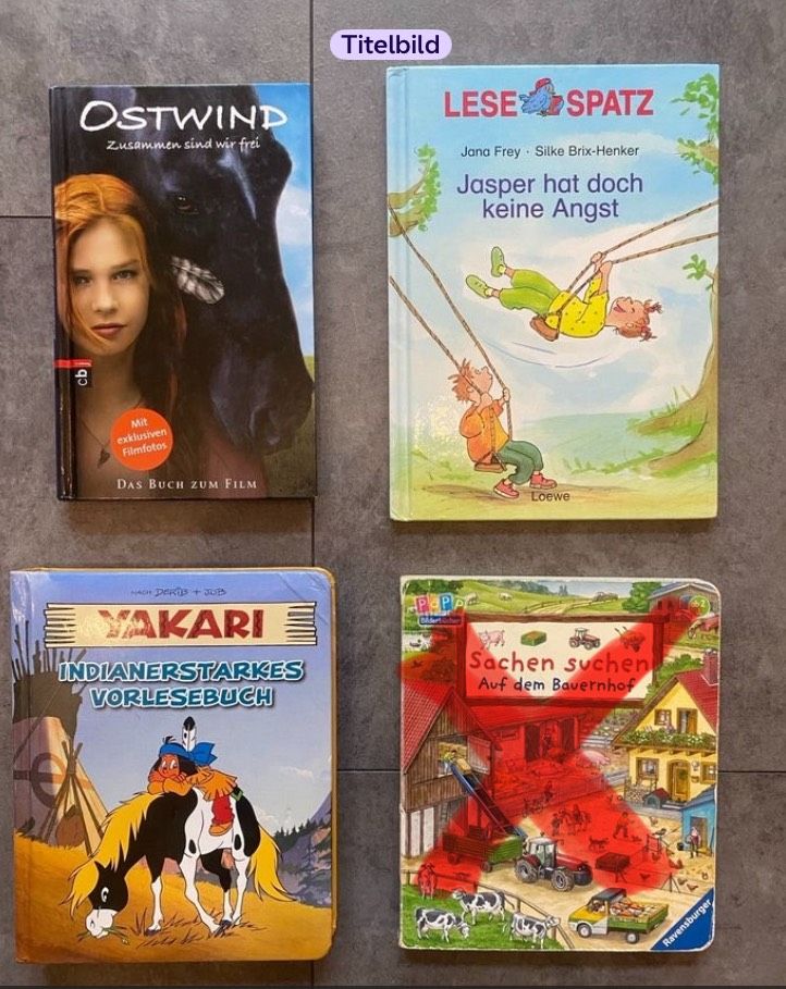 Diverse Kinderbücher in Babenhausen