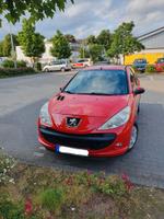 Peugeot 206 + mit Klima/ 8fach Bereifung Düsseldorf - Hafen Vorschau