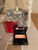 Shiseido Luminizing Satin Eye Color Essen-West - Frohnhausen Vorschau