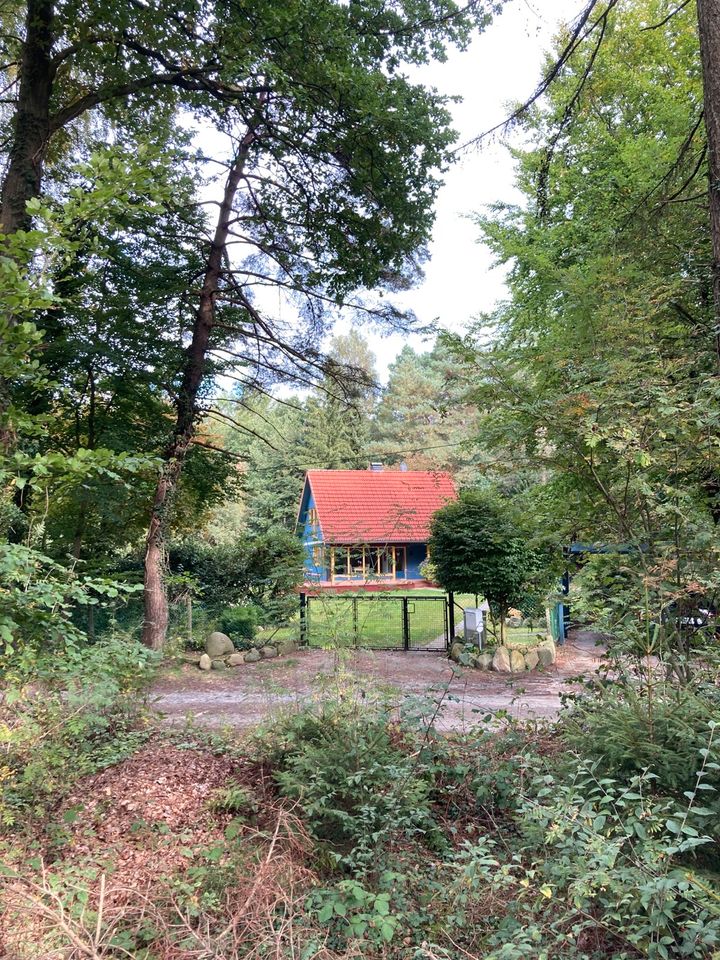 Ferienhaus am Wald - Wulsbüttel / Urlaub mit Hund in Hagen im Bremischen