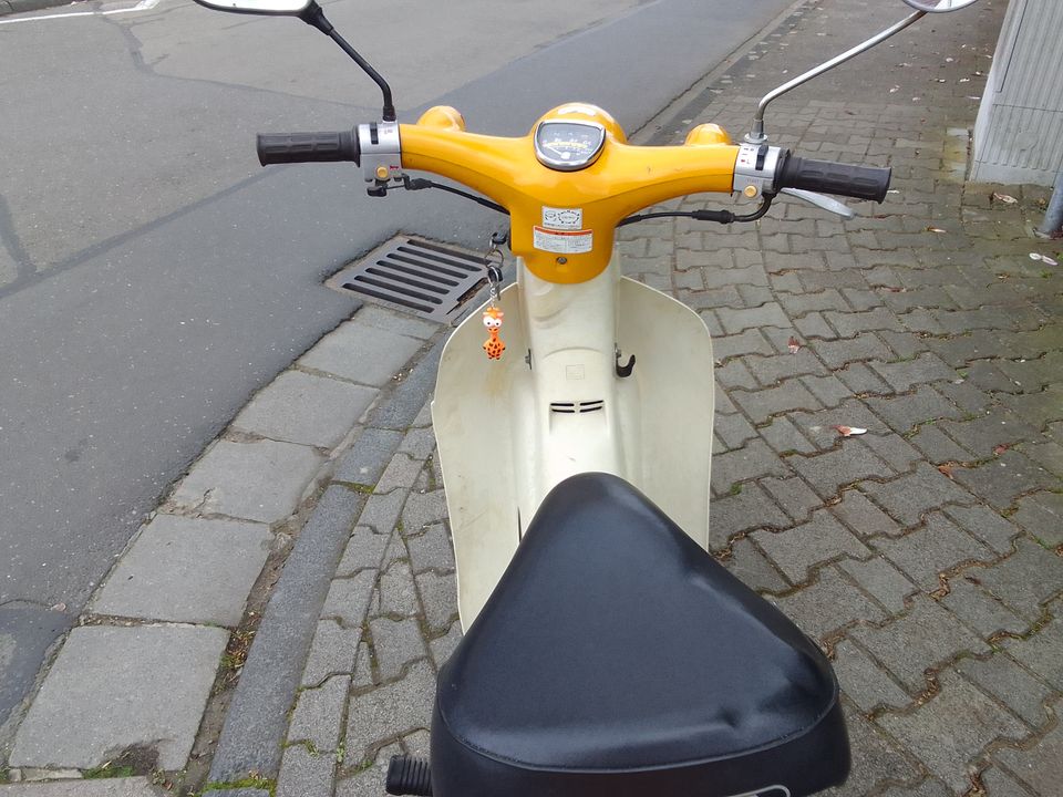 Honda Little Cub 50c in Budenheim