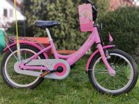 16" Puky Lillifee Kinderfahrrad Rheinland-Pfalz - Kallstadt Vorschau