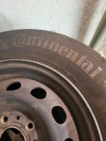 BMW 195/65 R15 91H Sommerreifen Alu-Felgen E46 Z3 3er 15-Zoll Berlin - Lichtenberg Vorschau