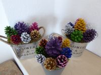 Blumentopf mit bunten Kiefernzapfen Handarbeit Hessen - Vellmar Vorschau