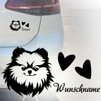 Auto Aufkleber | Zwergspitz | Pomeranian | Personalisiert | Spitz Köln - Köln Merheim Vorschau