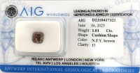 Diamant Kissen 1,01 Ct. N F Y Brown I2 Nr.8 Bayern - Deggendorf Vorschau