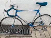 Rennrad Silber/blau Baden-Württemberg - Brackenheim Vorschau