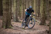 Mountain Bike gesucht Mitte - Wedding Vorschau