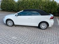 Volkswagen Golf 1.2 TSI Cabriolet - TOP gepflegt Nordrhein-Westfalen - Lübbecke  Vorschau