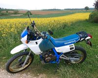 Honda NX/ FMX 650 Dominator Baden-Württemberg - Magstadt Vorschau