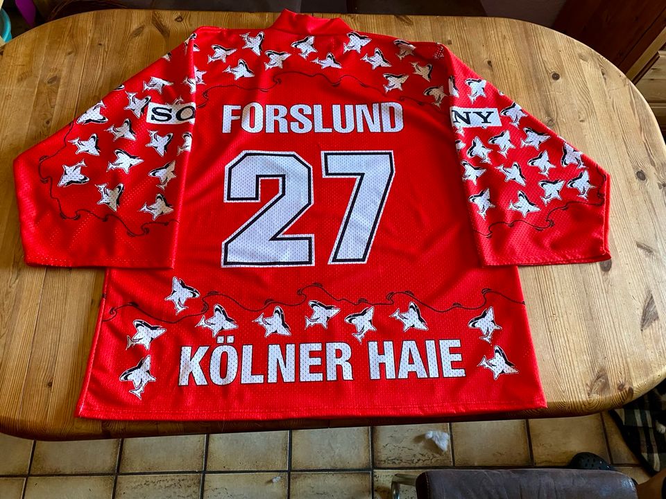 Eishockey Trikot Kölner Haie Forslund NEU in Niederkassel